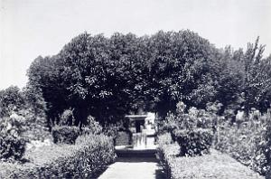 Rio Salado 507- Jardin public COLLECTION DES AMIS DE ND DE SANTA CRUZ